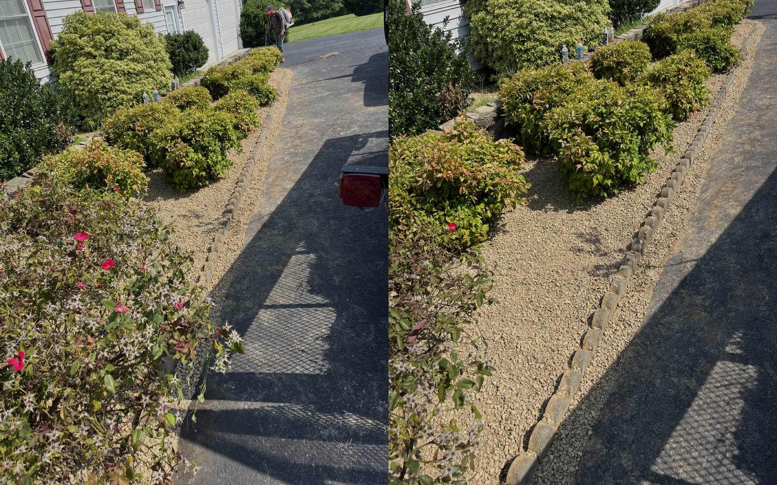 Garden Cleaning