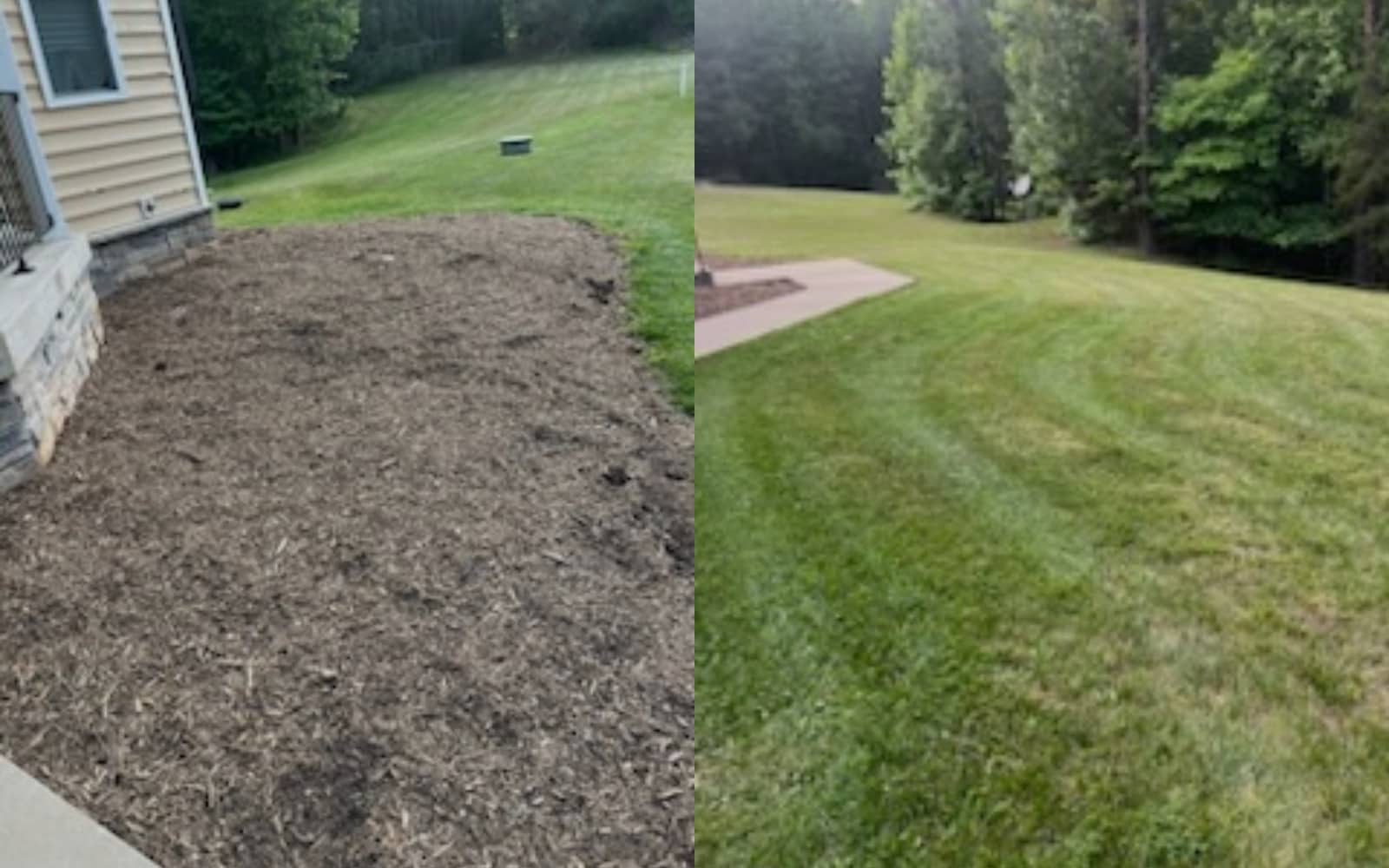 Lawn Maintenance 